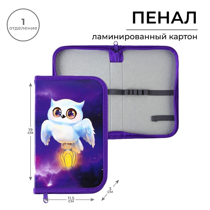 

Пенал школьный 1 секция 190 х 115 лам.карт ПО-02 «1 сентября: Совушка»