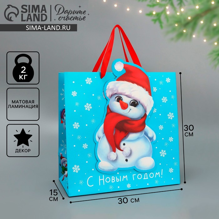 Пакет подарочный «Снеговик», 30 × 30 × 15 см printio пакет 15 5x22x5 см подарочный