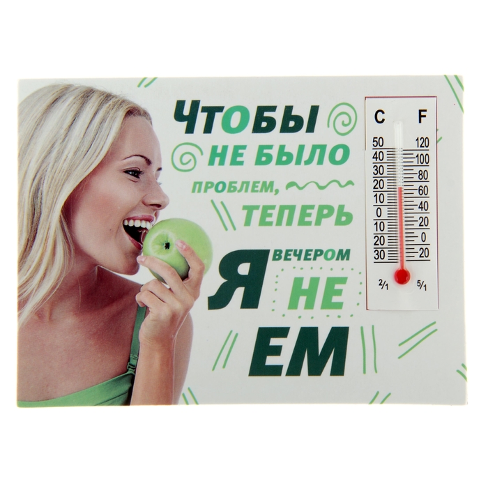 Магнит с термометром "Чтобы не было проблем"