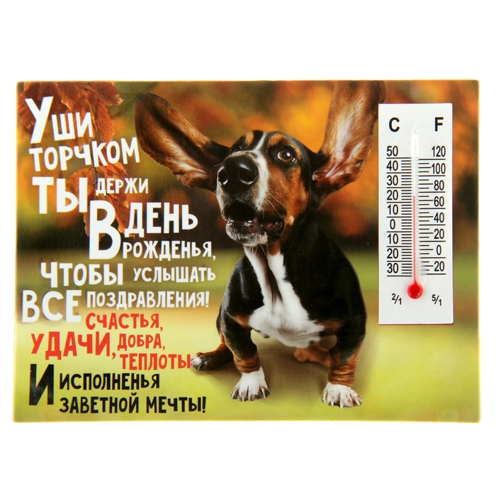 Магнит с термометром "В День Рождения - поздравления"