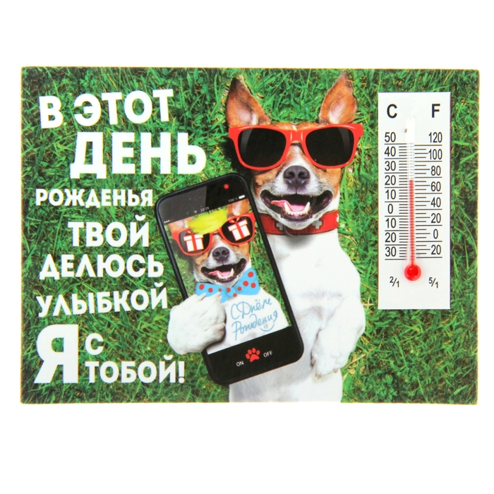 Магнит с термометром "В этот День Рожденья твой"