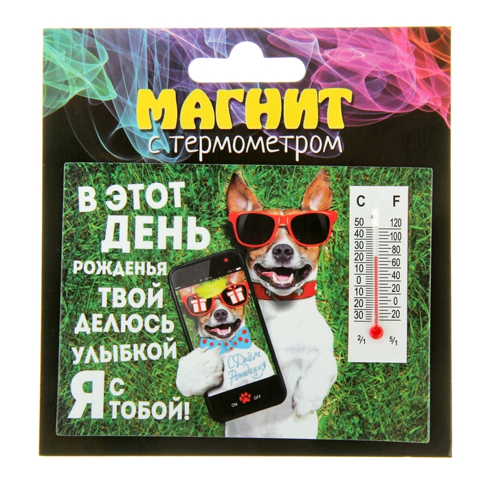 Магнит с термометром "В этот День Рожденья твой"