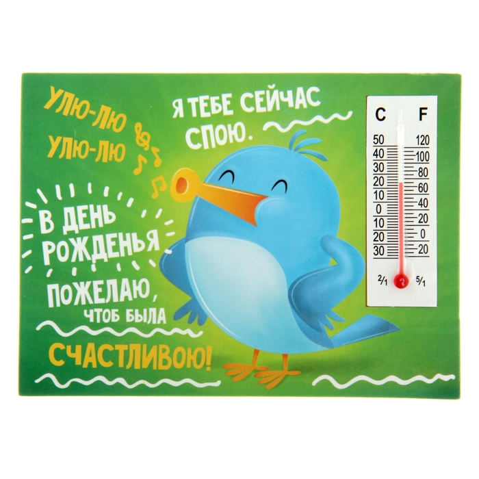 Магнит с термометром "В День Рождения будь счастливой"