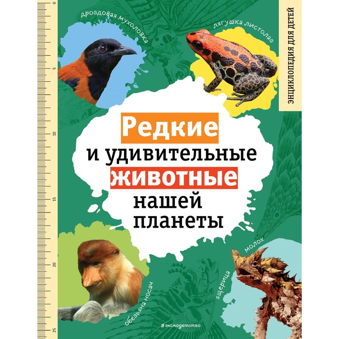 

Редкие и удивительные животные нашей планеты. Энциклопедия для детей. Климов В.