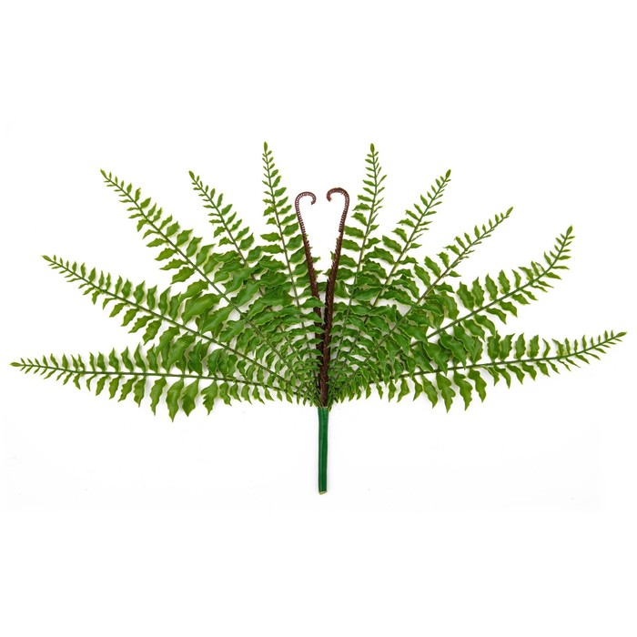 Искусственное растение «Папоротник нефролепис», высота 43 см растение искусственное в кашпо папоротник дидимохлена