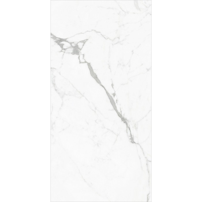 

Керамогранит Elegant Statuario GT Белый 60x120 (в упаковке 1,44 м2)
