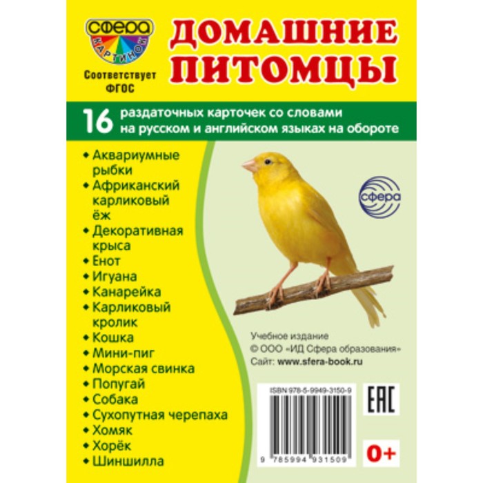

Домашние питомцы