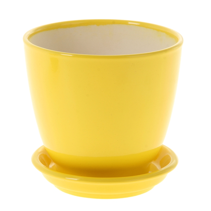 Кашпо "Кедр жёлтое, глянец, 1,6 л