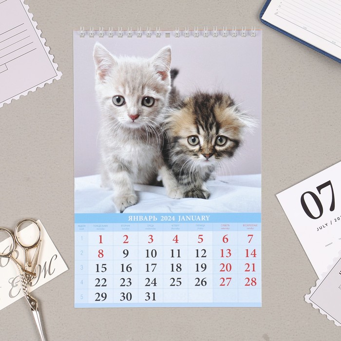 фото Календарь на пружине без ригеля "котята" 2024 год, 17х25 см издательство «каленарт»