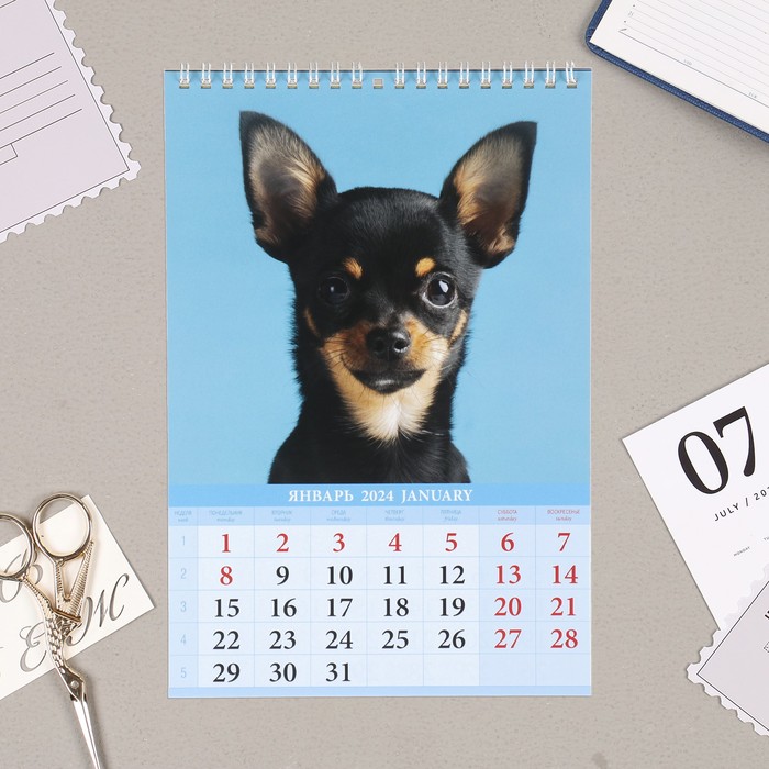 фото Календарь на пружине без ригеля "щенки" 2024 год, 17х25 см издательство «каленарт»