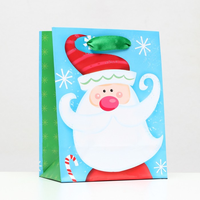 Пакет ламинированный «Дедушка мороз» 11,5 х 14,5 х 6 см