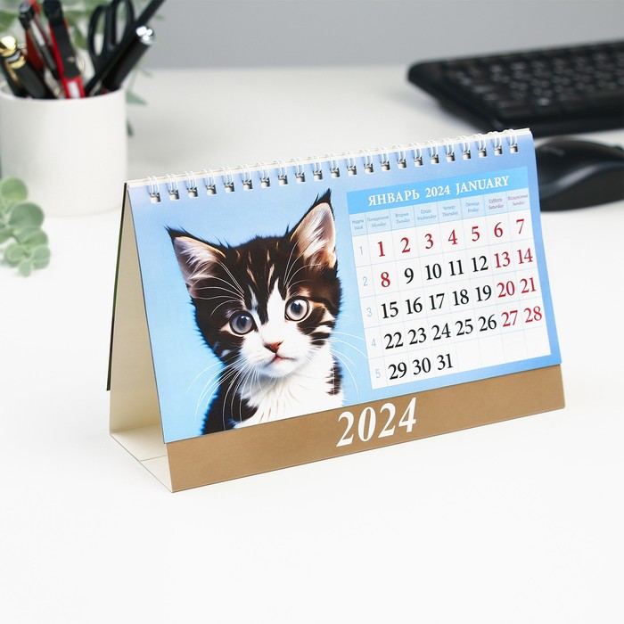 фото Календарь настольный, домик "котята" 2024, 20х14 см издательство «каленарт»