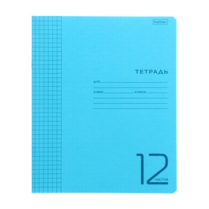 

Тетрадь 12 листов в клетку "Голубая", обложка пластиковая, блок 65 г/м2
