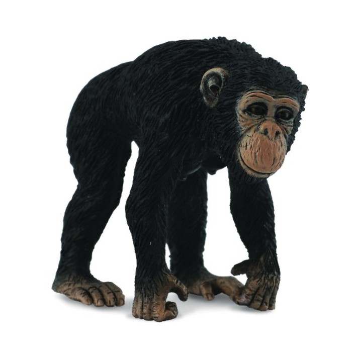 Фигурка «Шимпанзе самка», M фигурка животного safari ltd белохвостый олень самка