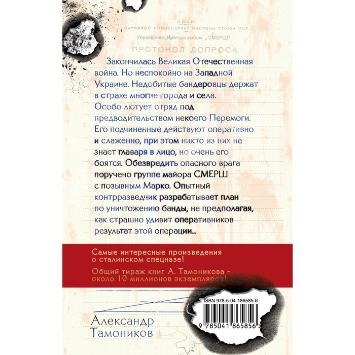 

Бой с невидимкой. Тамоников А.