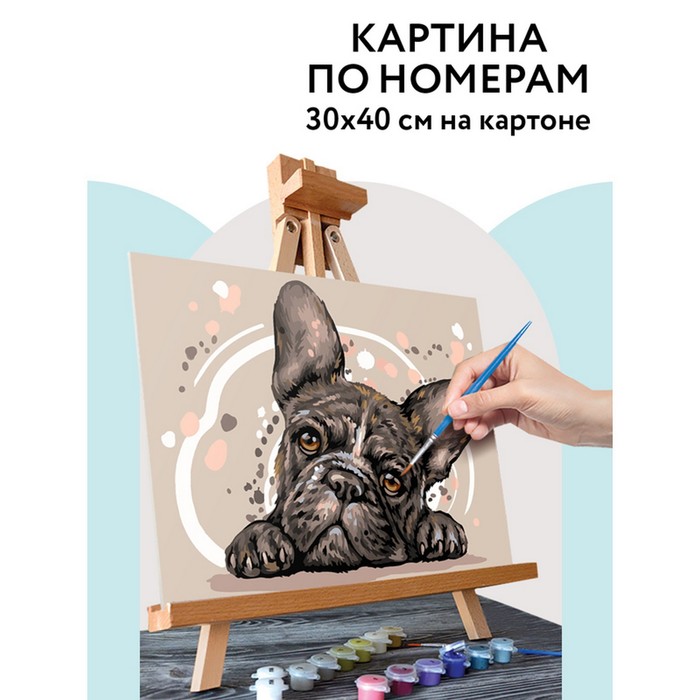 

Картина по номерам на картоне 30 × 40 см «Французский бульдог», с акриловыми красками и кистями