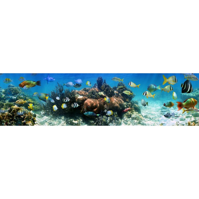 Фотосетка, 600 × 155 см, с фотопечатью, «Оживлённый риф» фотосетка 600 × 155 см с фотопечатью заросшие руины