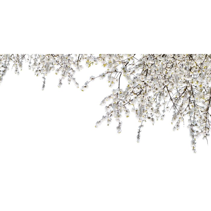 

Фотосетка, 320 × 155 см, с фотопечатью, «Ветви сакуры»