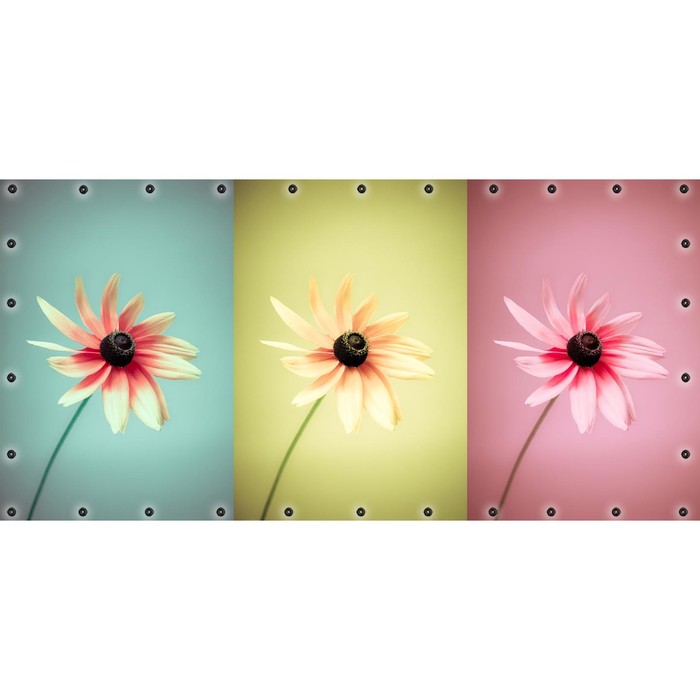 Фотосетка, 314 × 155 см, с фотопечатью, люверсы шаг 0.3 м, «3 цветка» фотосетка 314 × 155 см с фотопечатью люверсы шаг 0 3 м еловые ветки в сиреневых тонах