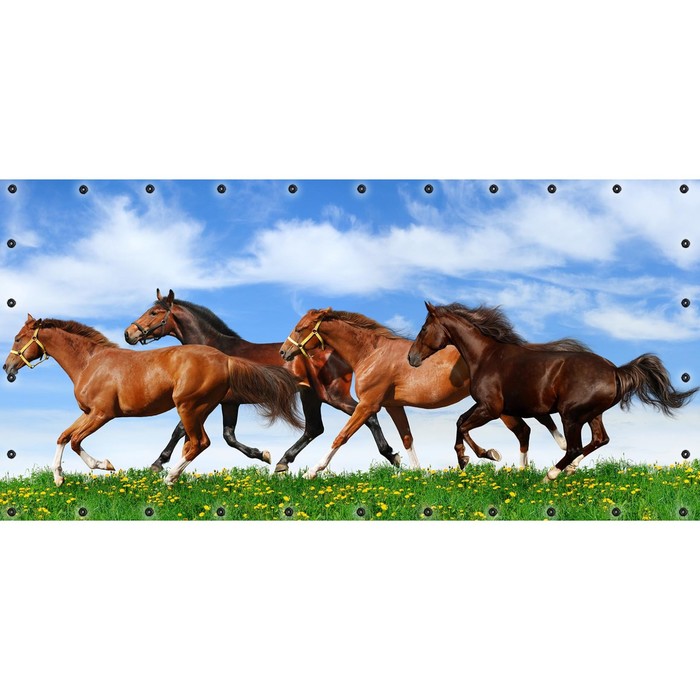 Фотосетка, 314 × 155 см, с фотопечатью, люверсы шаг 0.3 м, «Лошади»