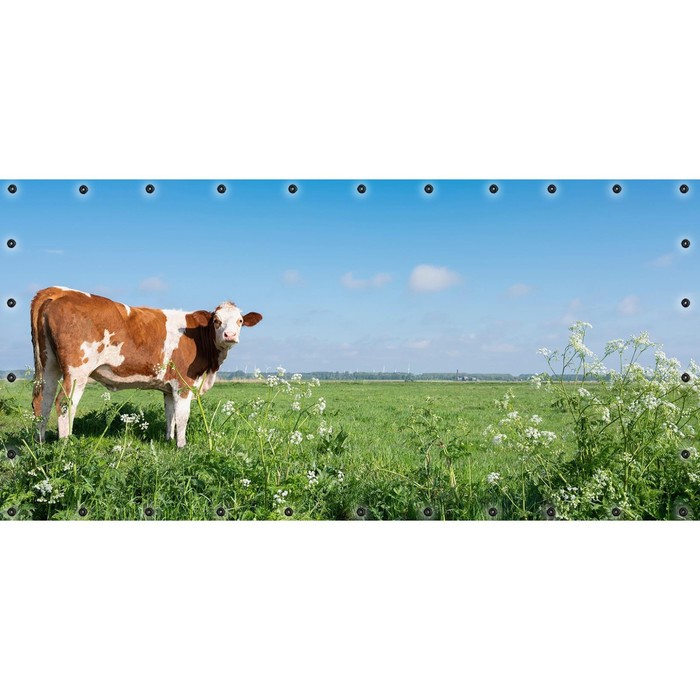 Фотосетка, 314 × 155 см, с фотопечатью, люверсы шаг 0.3 м, «Корова» фотосетка 314 × 155 см с фотопечатью люверсы шаг 0 3 м пейзаж с парусником