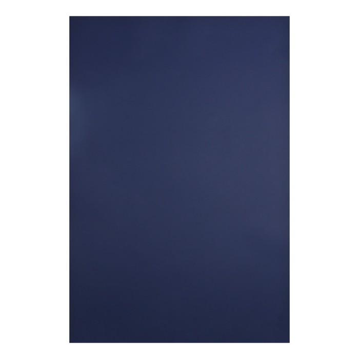 

Бумага для пастели 750 x 1100 мм Canson Mi-Teintes №140, 1 лист, 160 г/м², индиго