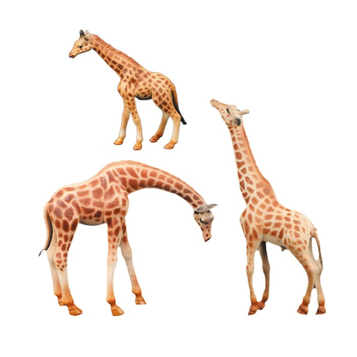 Набор фигурок «Мир диких животных: семья жирафов», 3 фигурки набор фигурок мир диких животных семья панд 3 фигурки