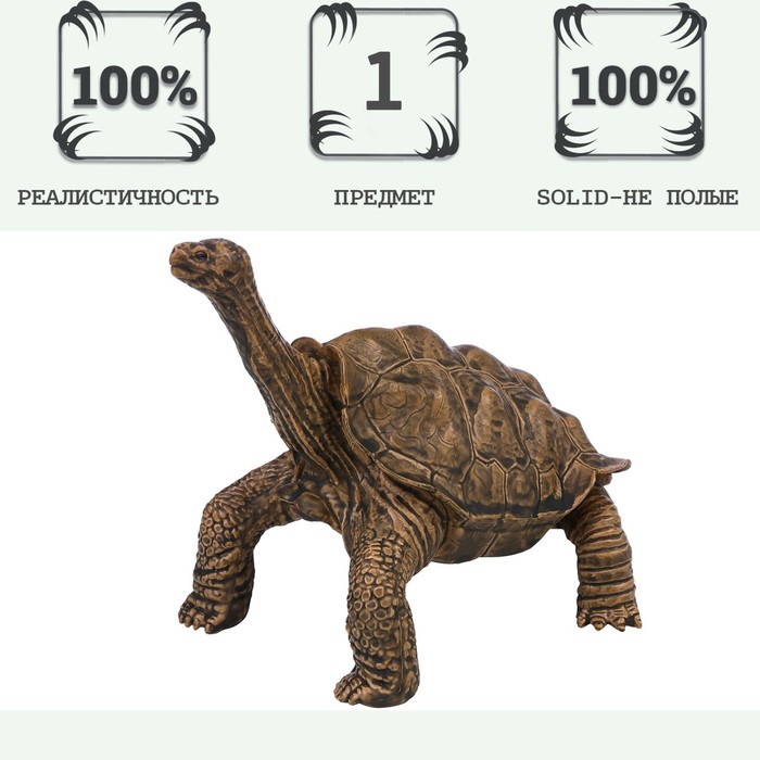 Фигурка «Мир диких животных: черепаха» фигурка мир диких животных плащеносная ящерица