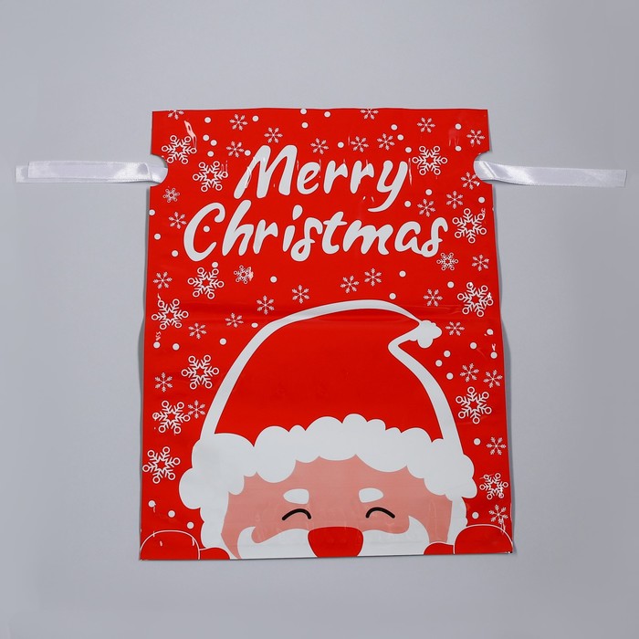Пакет подарочный с завязками, Дед Мороз, 24х32 см