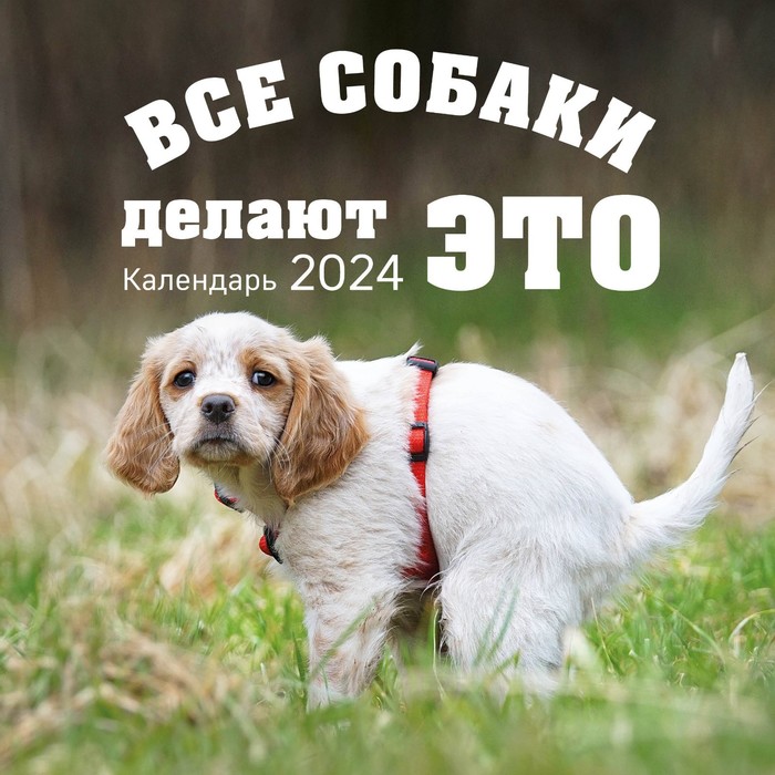 

Все собаки делают это. Календарь настенный на 2024 год, 30х30 см