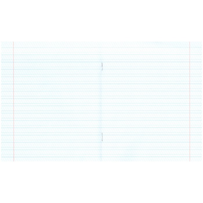 Тетрадь 12 листов в частую косую линейку 