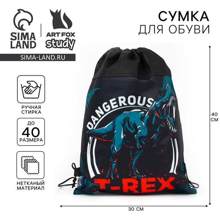 

Мешок для обуви T-REX, нетканное полотно, размер 30 х 40 см