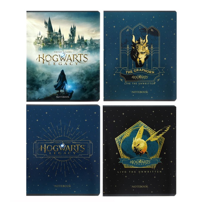 

Тетрадь 48 листов клетка "-Hogwarts Legacy-Гарри Поттер", обложка мелованный картон, скругленные углы, блок 65 г/м2, 5В МИКС