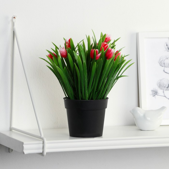 Бонсай в горшке Тюльпаны и зелень 9х18 см, микс цена и фото