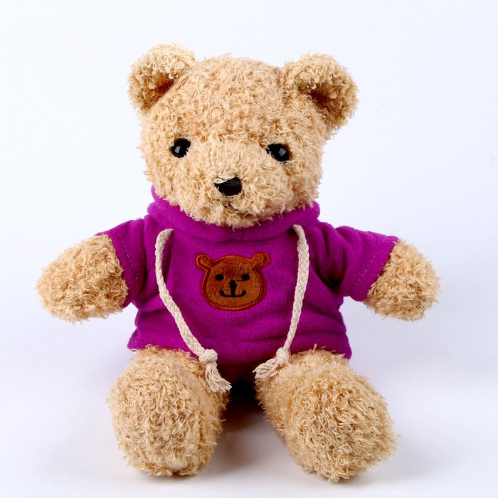 Мягкая игрушка «Медведь» в кофте, 30 см, цвет фиолетовый мягкая игрушка медведь в кофте