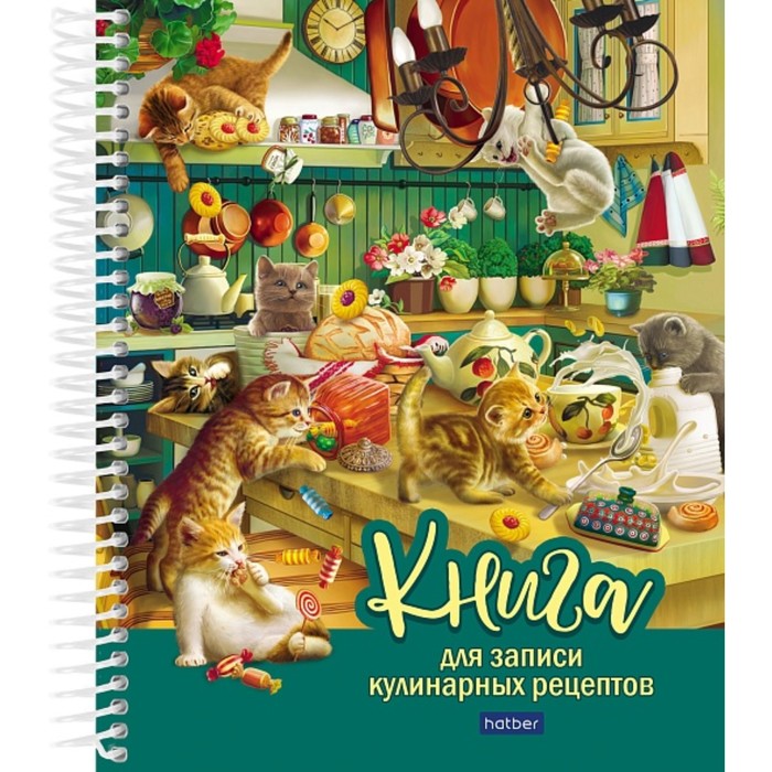 

Книга для записи кулинарных рецептов А5, 80 листов на гребне "Котики бывают разными", твёрдая обложка, с разделителями, 5 цветов, блок 80 г/м2