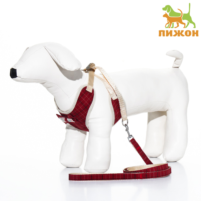 

Комплект с мягкой шлейкой "Клетки", размер L, поводок 120 х 1,5 см, ОГ 42-76 см, красный