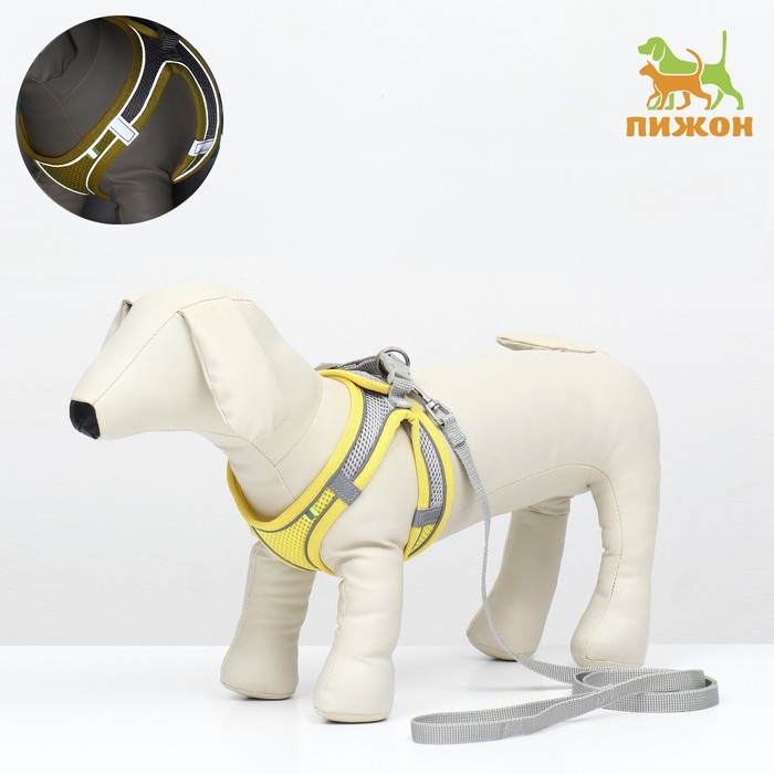 

Комплект с мягкой шлейкой, быстросъемный, S, поводок 150 х 1,5 см, ОШ 33-36 см, ОГ 35-40 см, жёлтый