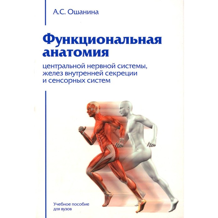 Функциональная анатомия центральной нервной системы, желез внутренней секреции и сенсорных систем. Ошанина А.С. чермянин с гайворонский и попов в и др функциональная анатомия нервной системы курс лекций для клинических психологов