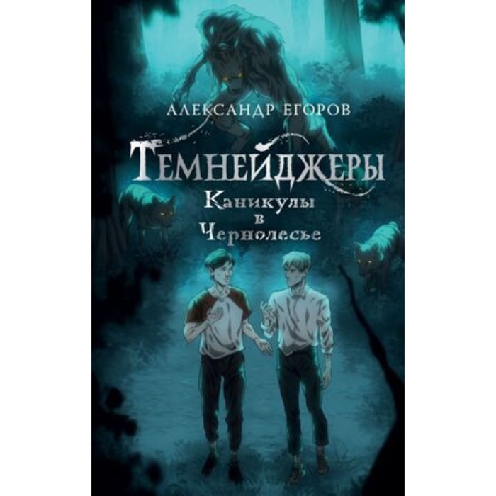 

Темнейджеры. Каникулы в Чернолесье. Егоров А.А.