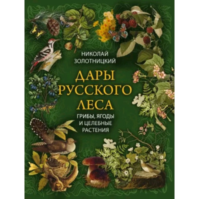 

Дары русского леса. Грибы, ягоды и целительные растения. Золотницкий Н.Ф.