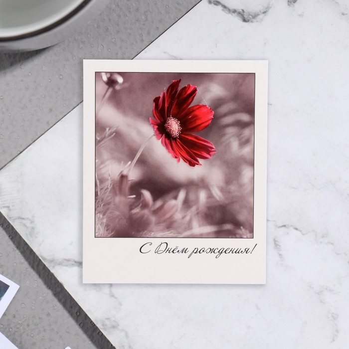 Мини-открытка С Днём Рождения! красный цветок, 9х11 см