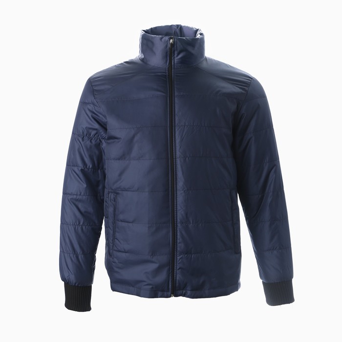 Куртка мужская демисезоная, цвет синий, размер 48