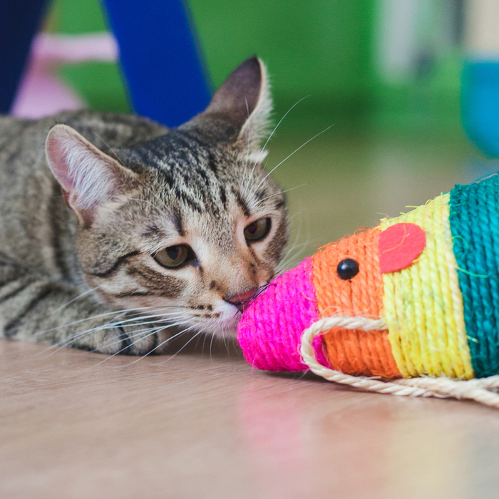 Когтеточка сизалевая Огромная мышь, 25 х 9,5 х 9,5 см, микс цветов