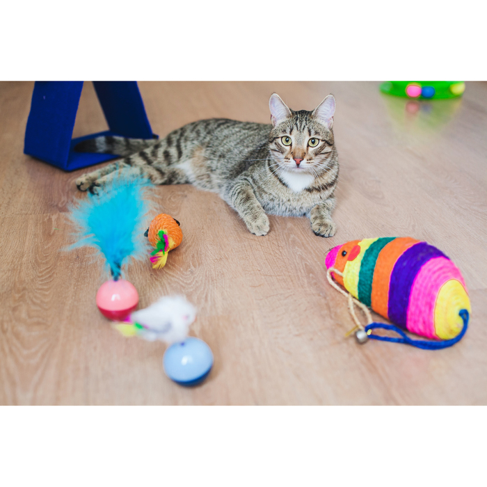 Когтеточка сизалевая Огромная мышь, 25 х 9,5 х 9,5 см, микс цветов