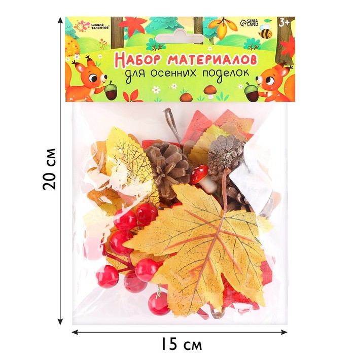 фото Набор для творчества «материалы для осенних поделок. листья, шишки» школа талантов