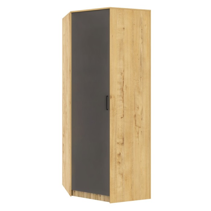 Шкаф угловой «Бруно», 860×860×2270 мм, без зеркала, цвет дуб вотан / серый графит шкаф 3 х дверный бруно 1200×540×2270 мм цвет дуб вотан серый графит