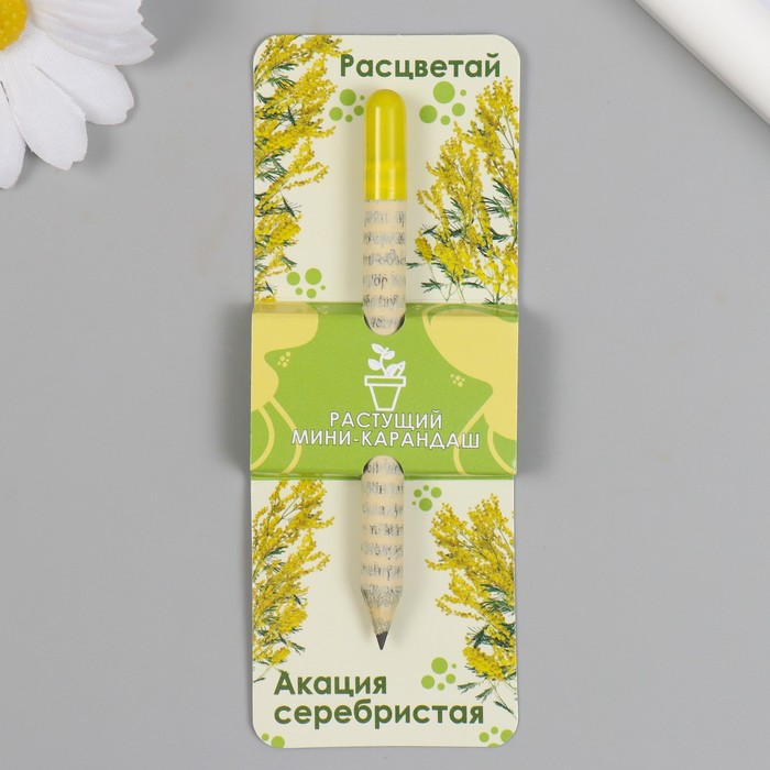 Растущие подарочные карандаши mini Расцветай Акация серебристая растущие карандаши акация белая 1 шт