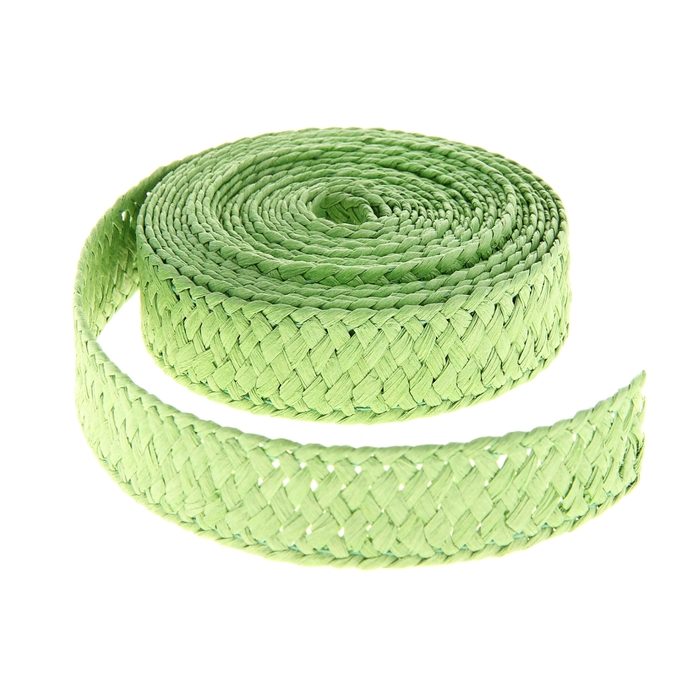 Лента декоративная плетёная, цвет зелёный