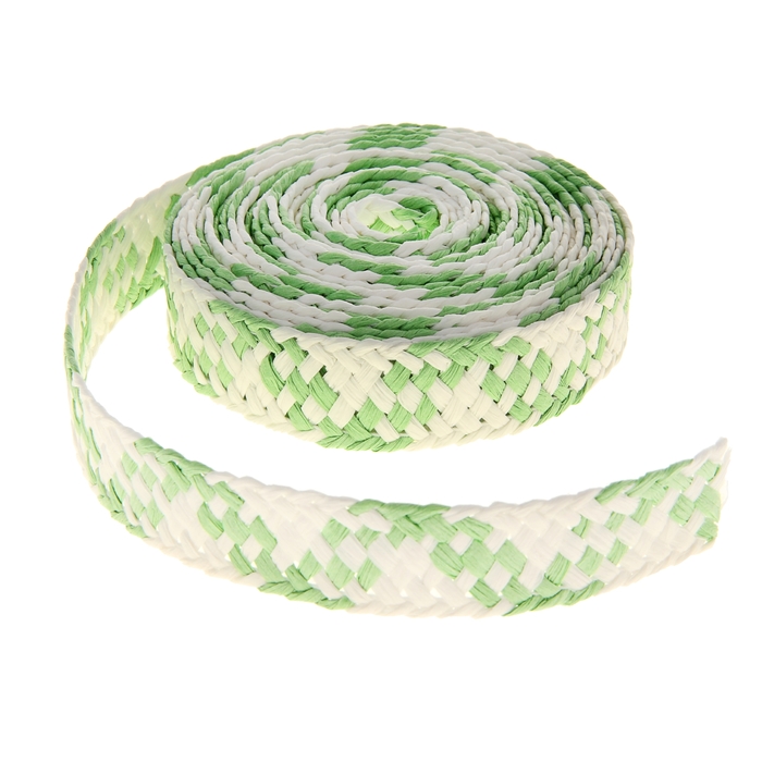 Лента декоративная плетёная, цвет салатовый с белым